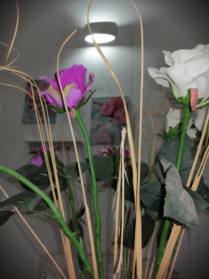 La Casa Di Chiara Apartment Тавиано Екстериор снимка